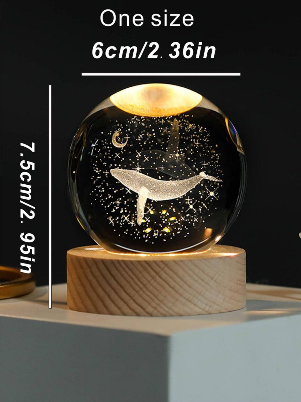 Glass sphere with a whale design on a wooden base, showing measurements.