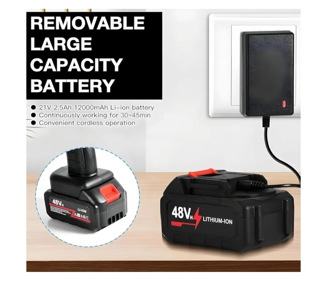 48V lithium-ion battery with charger and text about removable large capacity battery on a white background.