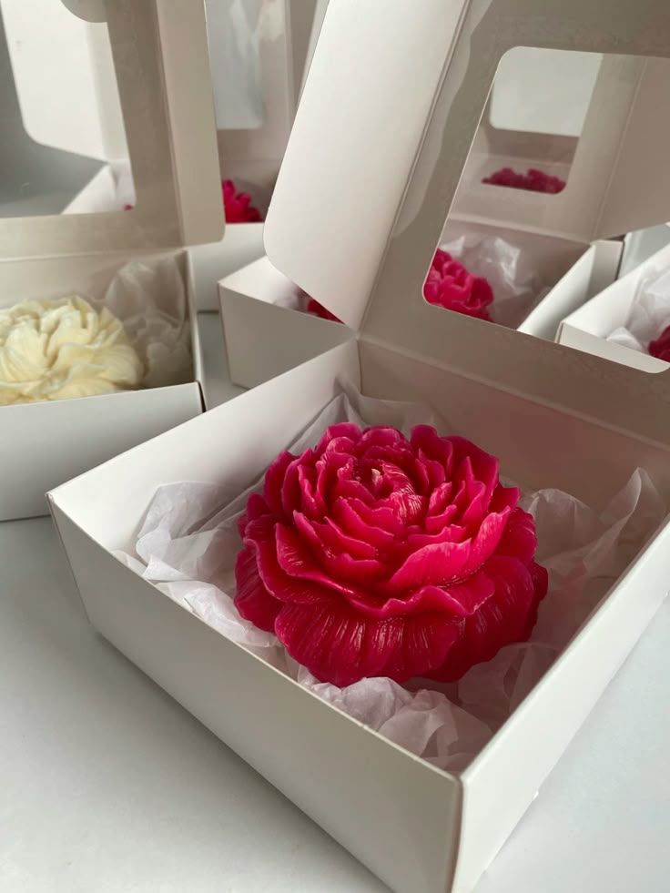 Pink rose in a white box with other roses in the background