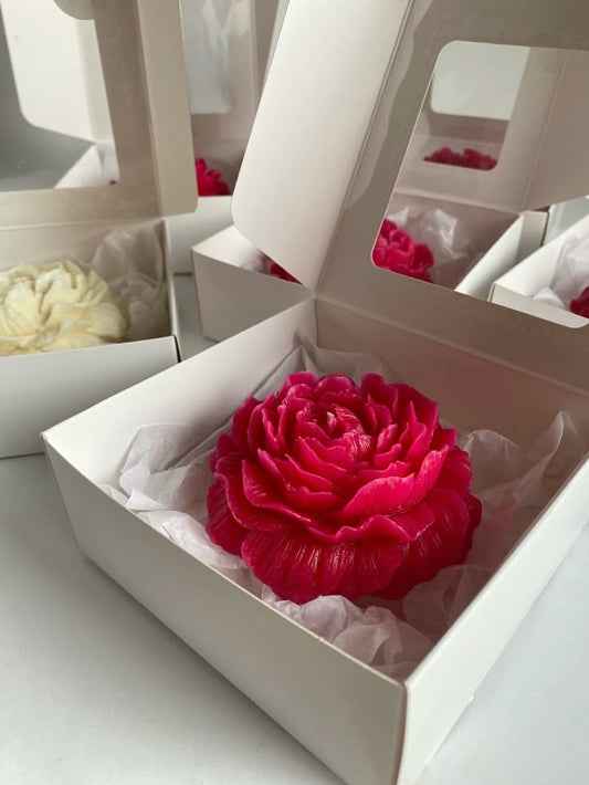 Pink rose in a white box with other roses in the background